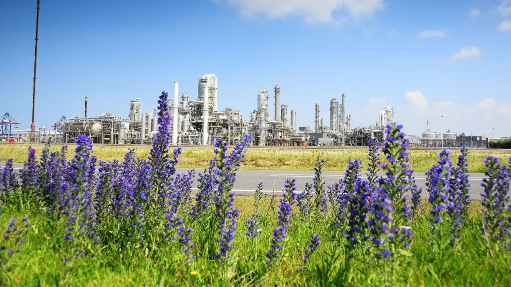 Port of Rotterdam outlines its roadmap to neutrality