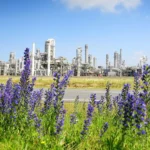 El éxito de Róterdam no solo beneficiará al medio ambiente local, sino que fortalecerá su competitividad económica.