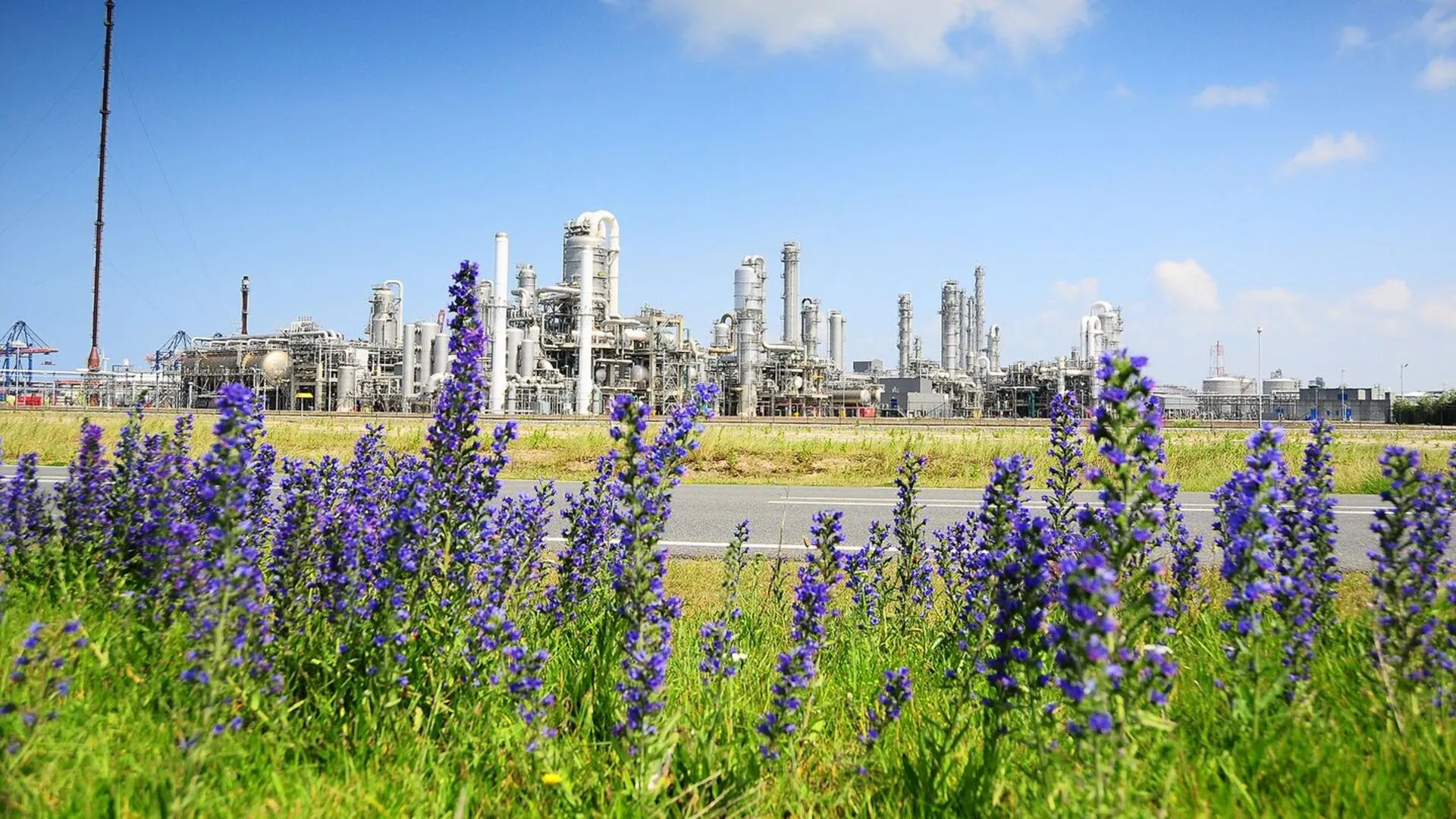 El éxito de Róterdam no solo beneficiará al medio ambiente local, sino que fortalecerá su competitividad económica.