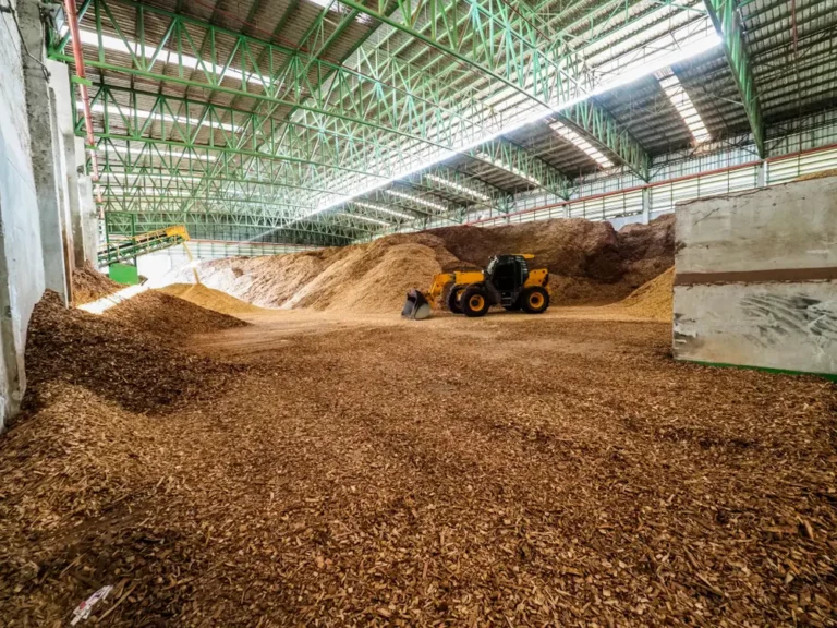 nueva planta de biomasa en España