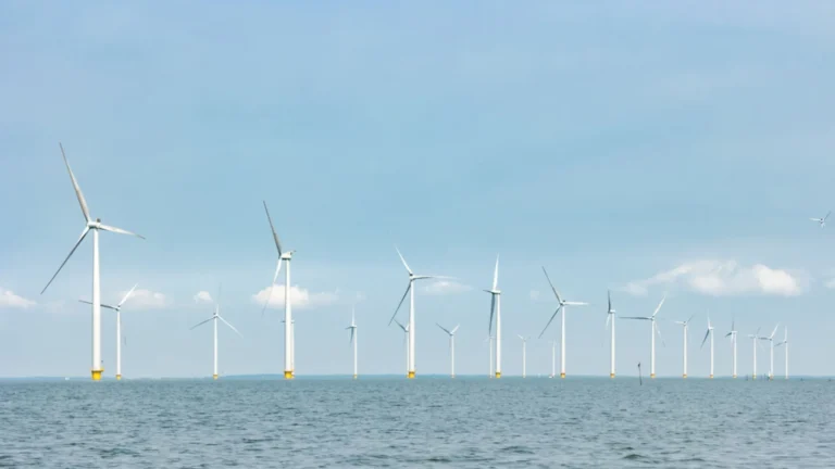 imagen referencial del parque eólico marino en Îles d'Yeu y Noirmoutier