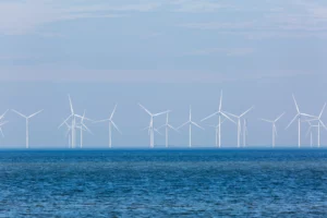 TEPCO avanza con un parque eólico marino de 420 MW frente a Choshi