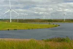 Iberdrola prevé llevar Whitelee hasta 1.000 MW con nuevas turbinas