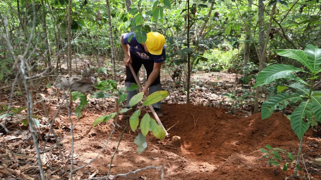 Recolección de muestras de suelo de Petrobras y Shell Brasil