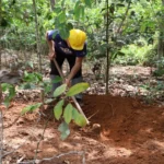 Recolección de muestras de suelo de Petrobras y Shell Brasil