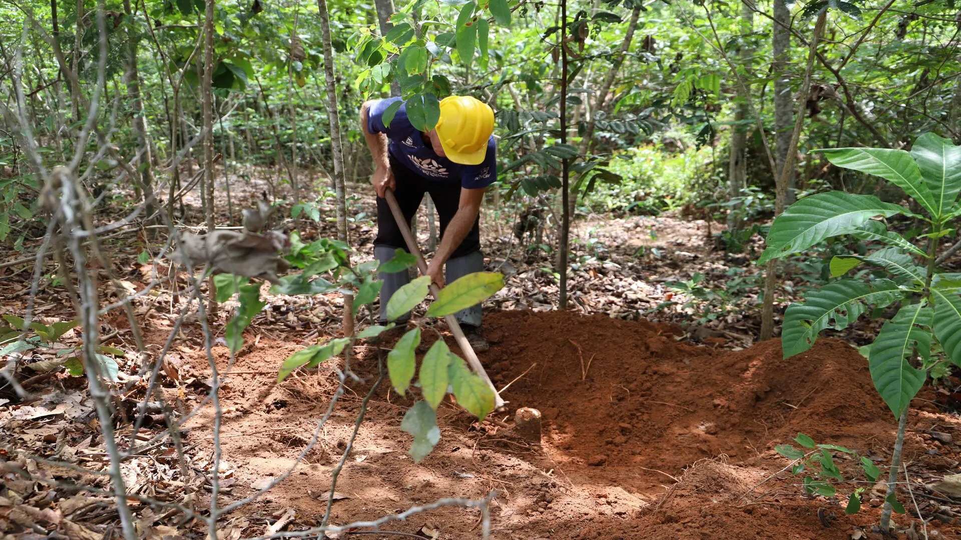 Recolección de muestras de suelo de Petrobras y Shell Brasil