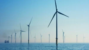 Proyecto SupraMarine