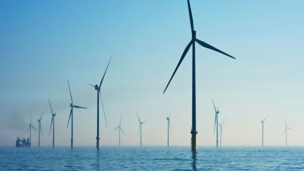 Proyecto SupraMarine