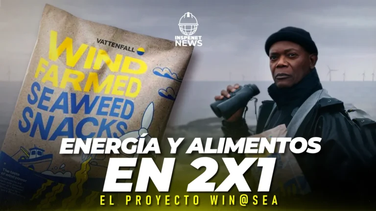 ¿Snacks de algas en parques eólicos? Así lo está haciendo WIN@sea