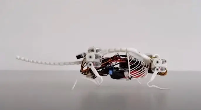 they develop NeRmo the robot mouse