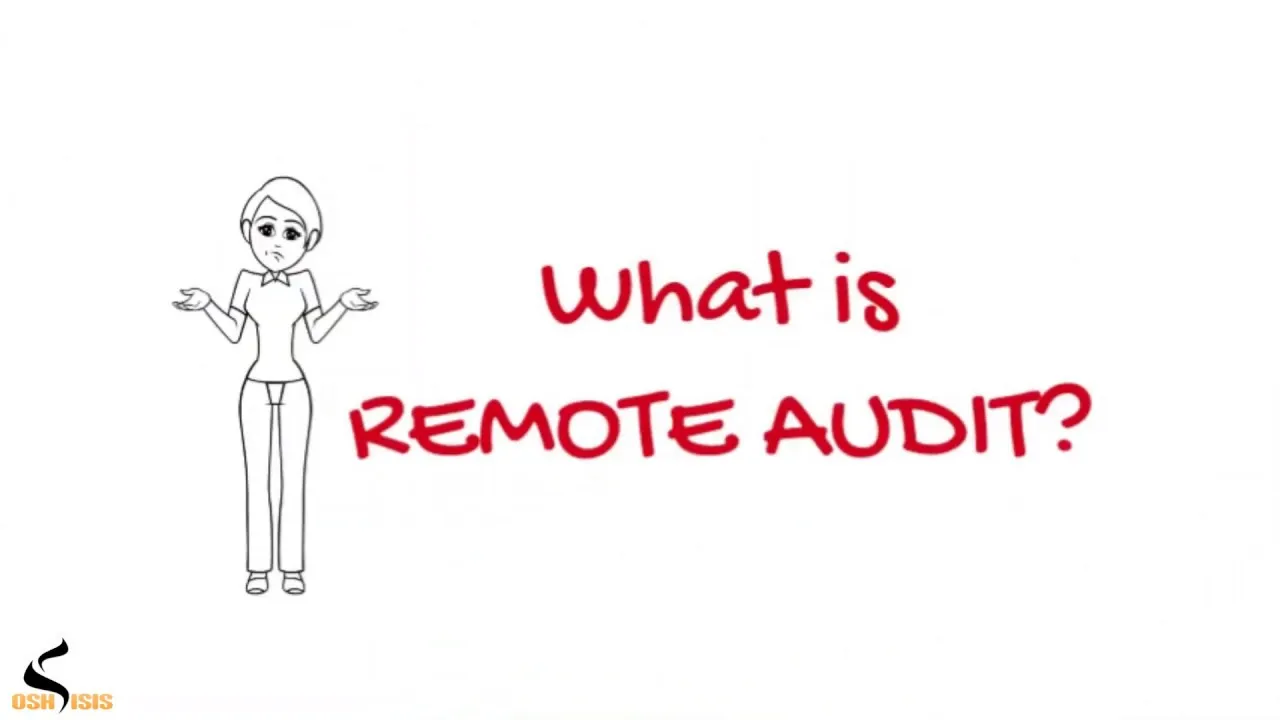 remote auditing for management system 1