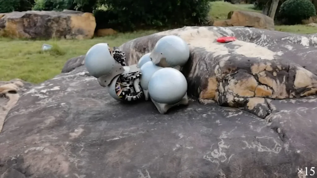 Snail robot developed