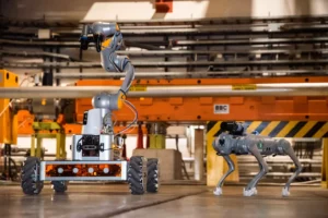 El CERN presentó un robot de cuatro patas para inspeccionar zonas de radiación nuclear