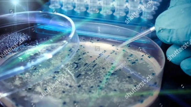placa-de-petri-con-colonias-bacterianas-experimento-científico-