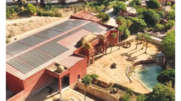 Instalación de planta solar fotovoltaica de 1.000 kW en Terra Natura Benidorm