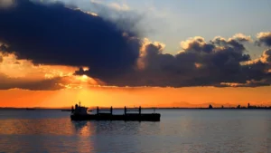 Jinhui finalizes the sale of the supramax vessel “Jin Ji”.
