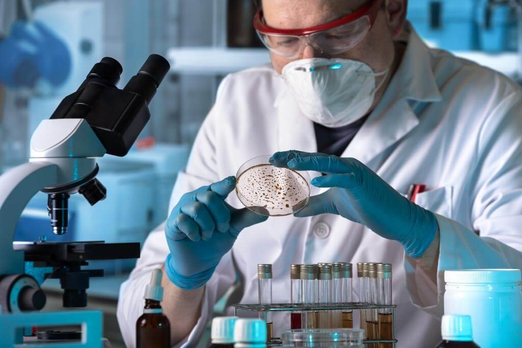 Método de vanguardia revela estructuras nunca antes vistas en las bacterias que comen metano y lo convierten en combustible