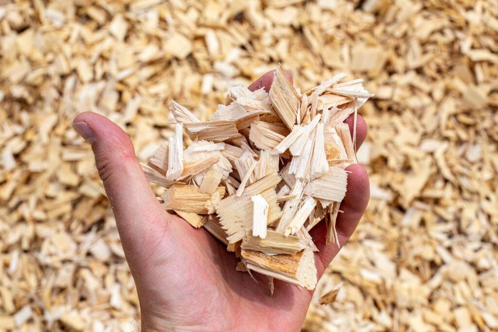 They discover a new and profitable method to make ethanol from wood waste