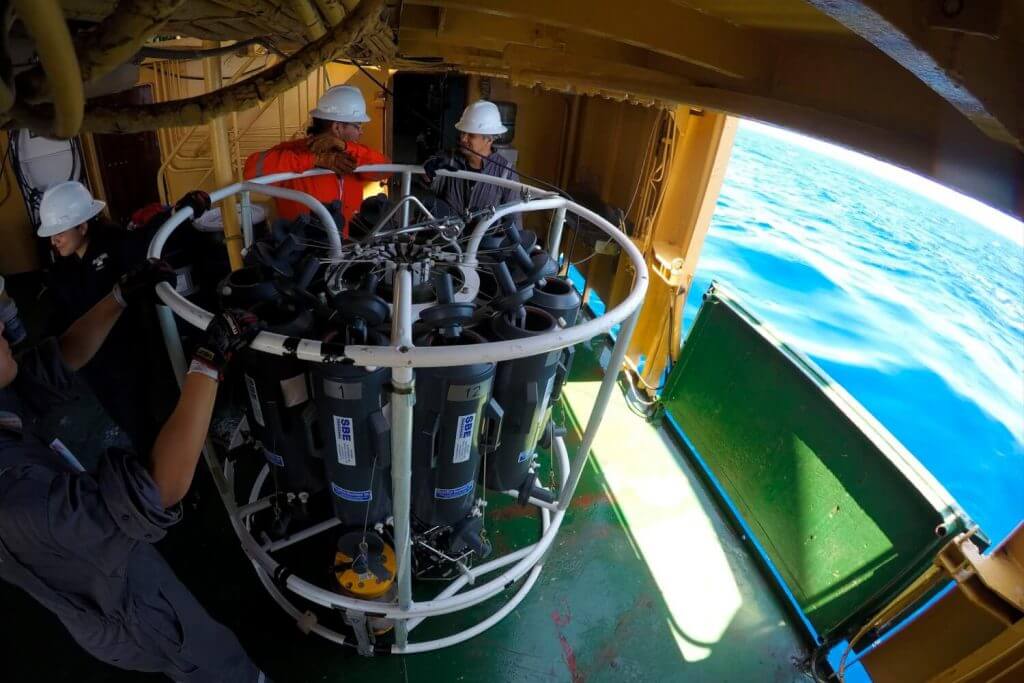 Researchers discover bacteria that can dissolve oil in the Gulf of Mexico
