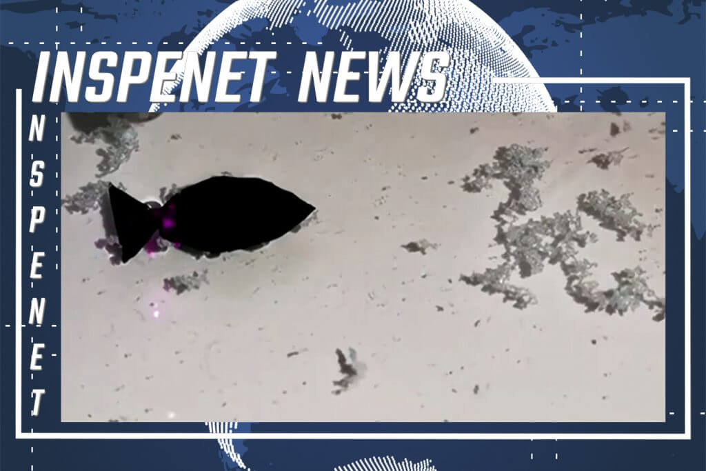 INSPENET NEWS 27/07/2022