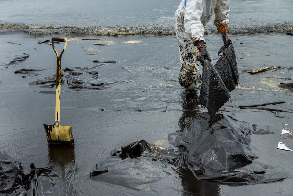 Matter of Trust Makes Eco-Friendly Absorbent Material to Combat Oil Spills