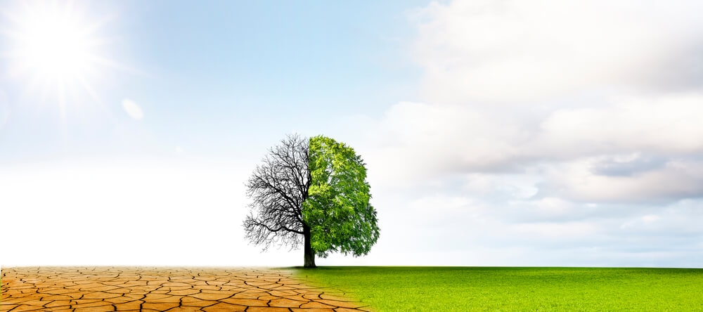 Panama is updated on climate change