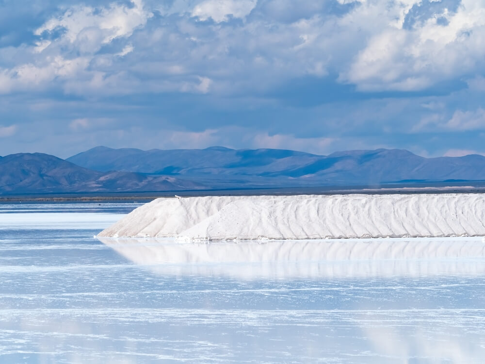 Argentina to start lithium battery production this year