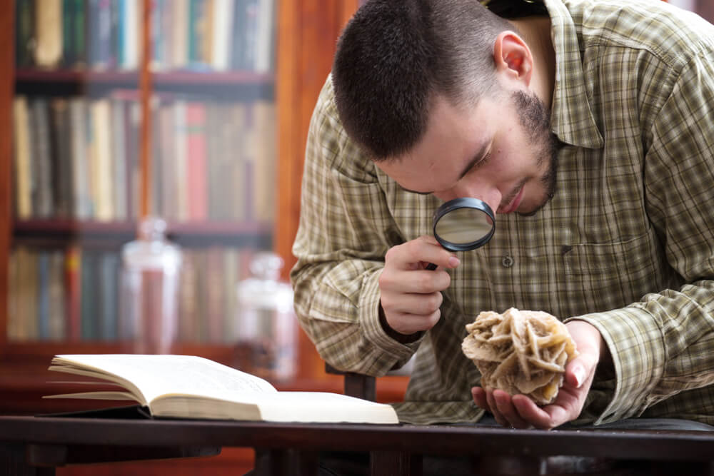 Learn about the new university degrees offered by IFES