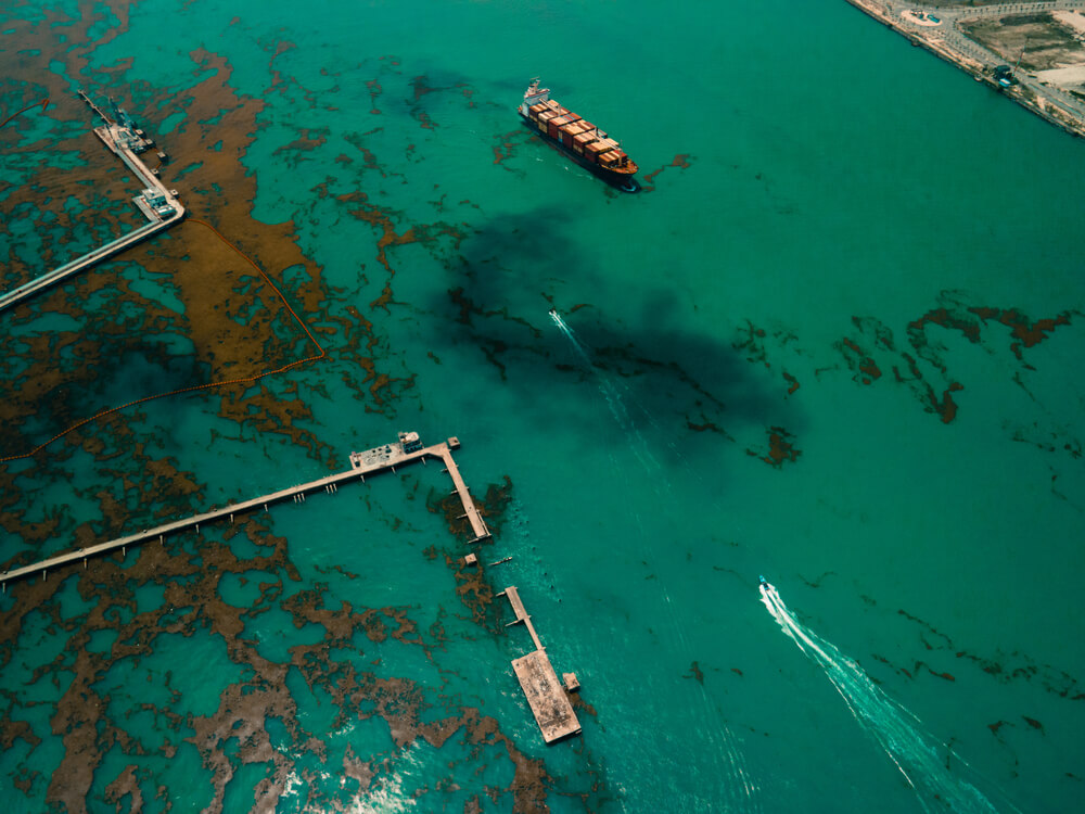 Digital Earth Solutions develops software capable of predicting oil spills at sea