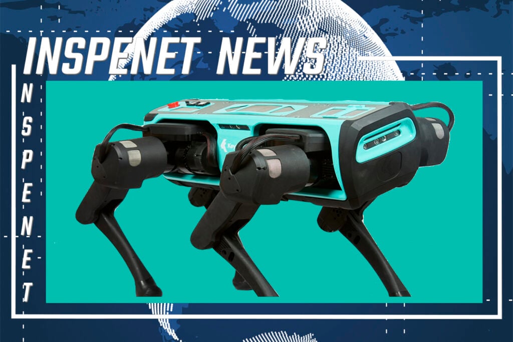 INSPENET NEWS 06/02/2023