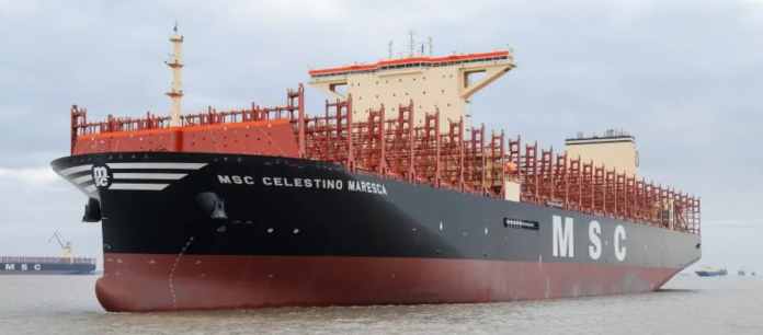 1626 barco MSC Celestino Maresca 3