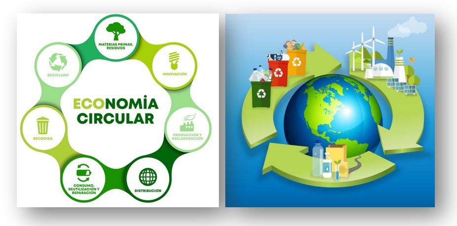 The circular economy and business innovation intertwine to drive a sustainable future.